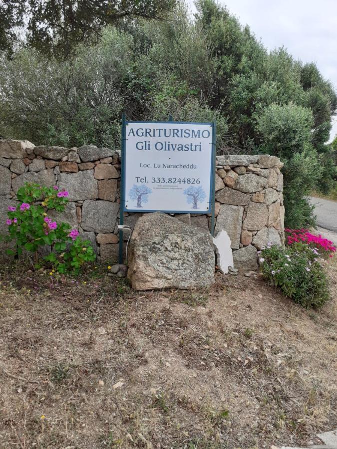 Gli Olivastri Con Piscina,Solarium, Vista Mare ,Sole -Mare E Tanta Natura ,Climatizzatore,Wifi อาเญ็นตู ภายนอก รูปภาพ