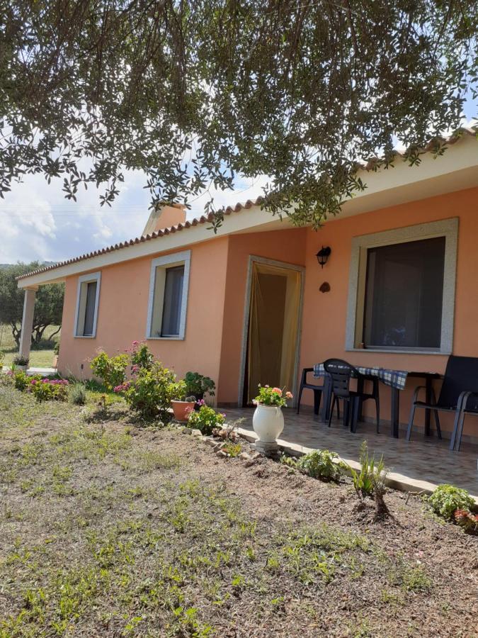Gli Olivastri Con Piscina,Solarium, Vista Mare ,Sole -Mare E Tanta Natura ,Climatizzatore,Wifi อาเญ็นตู ภายนอก รูปภาพ