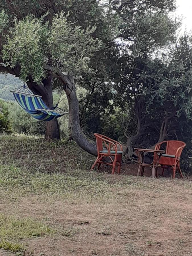 Gli Olivastri Con Piscina,Solarium, Vista Mare ,Sole -Mare E Tanta Natura ,Climatizzatore,Wifi อาเญ็นตู ภายนอก รูปภาพ