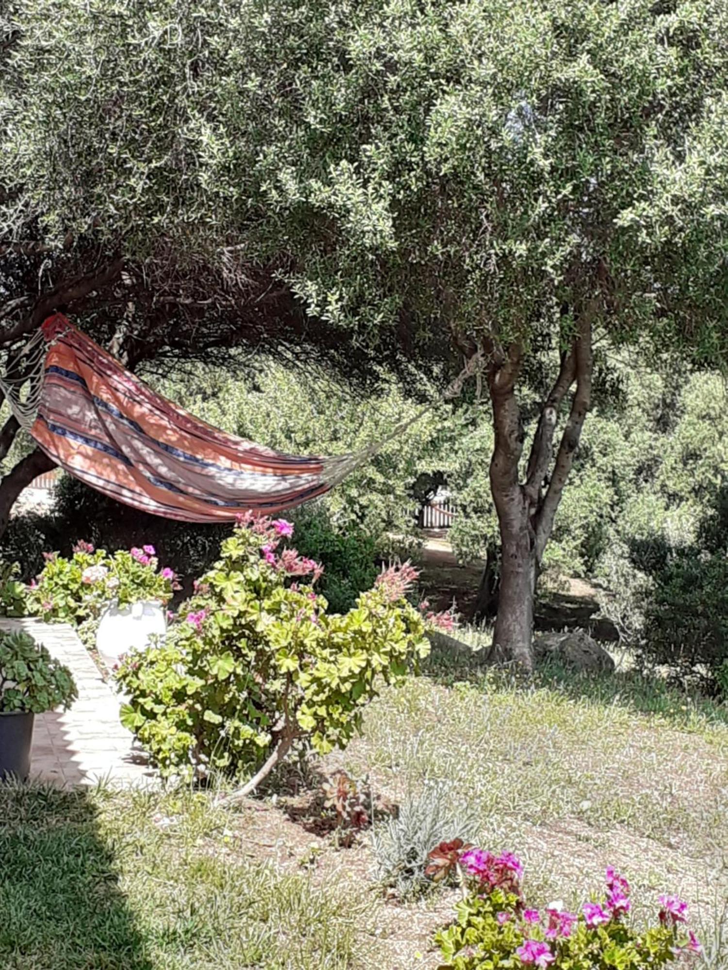 Gli Olivastri Con Piscina,Solarium, Vista Mare ,Sole -Mare E Tanta Natura ,Climatizzatore,Wifi อาเญ็นตู ภายนอก รูปภาพ