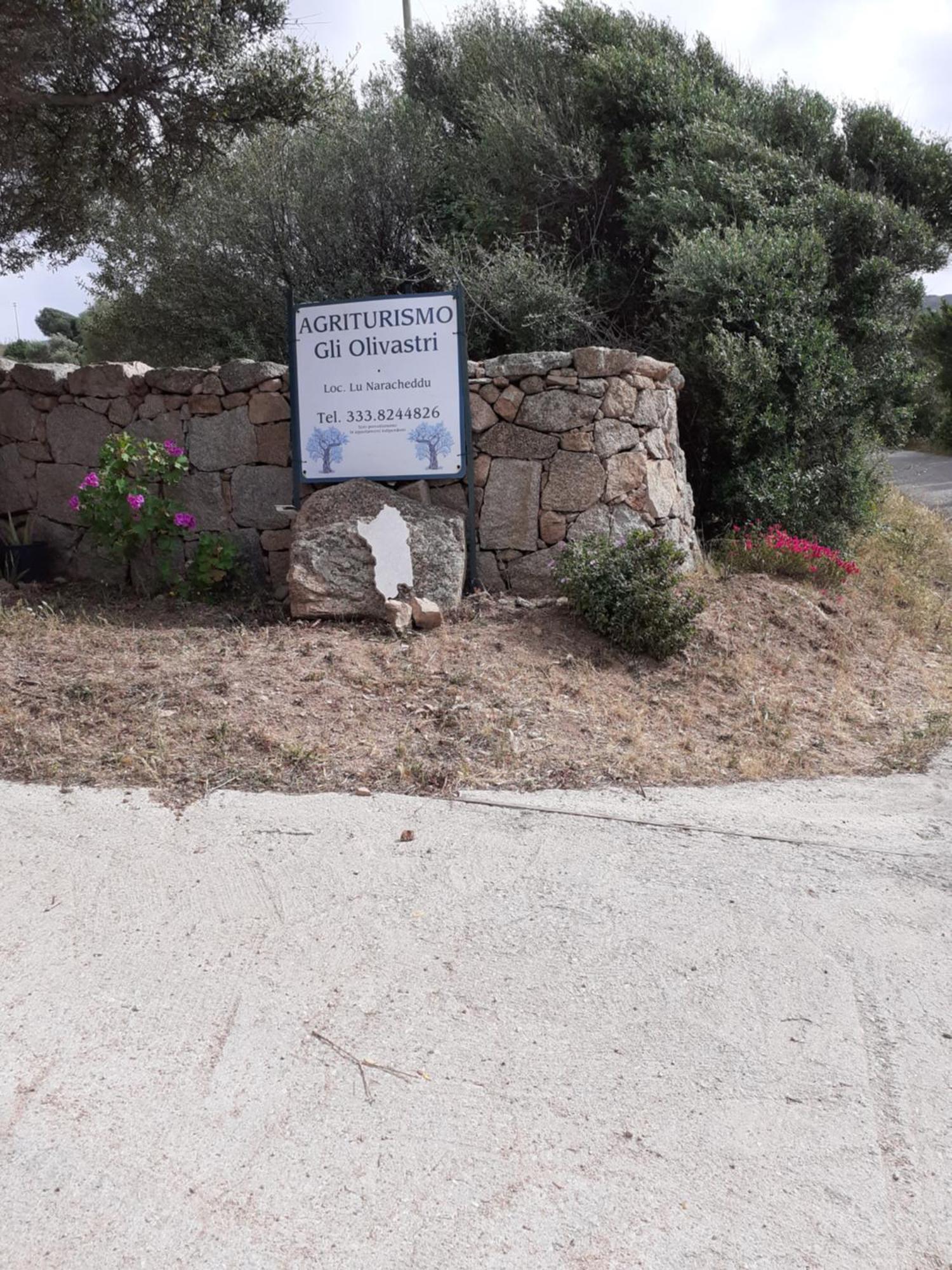 Gli Olivastri Con Piscina,Solarium, Vista Mare ,Sole -Mare E Tanta Natura ,Climatizzatore,Wifi อาเญ็นตู ภายนอก รูปภาพ