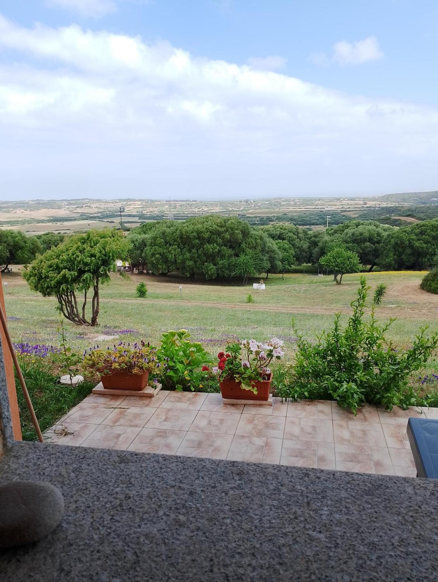 Gli Olivastri Con Piscina,Solarium, Vista Mare ,Sole -Mare E Tanta Natura ,Climatizzatore,Wifi อาเญ็นตู ภายนอก รูปภาพ
