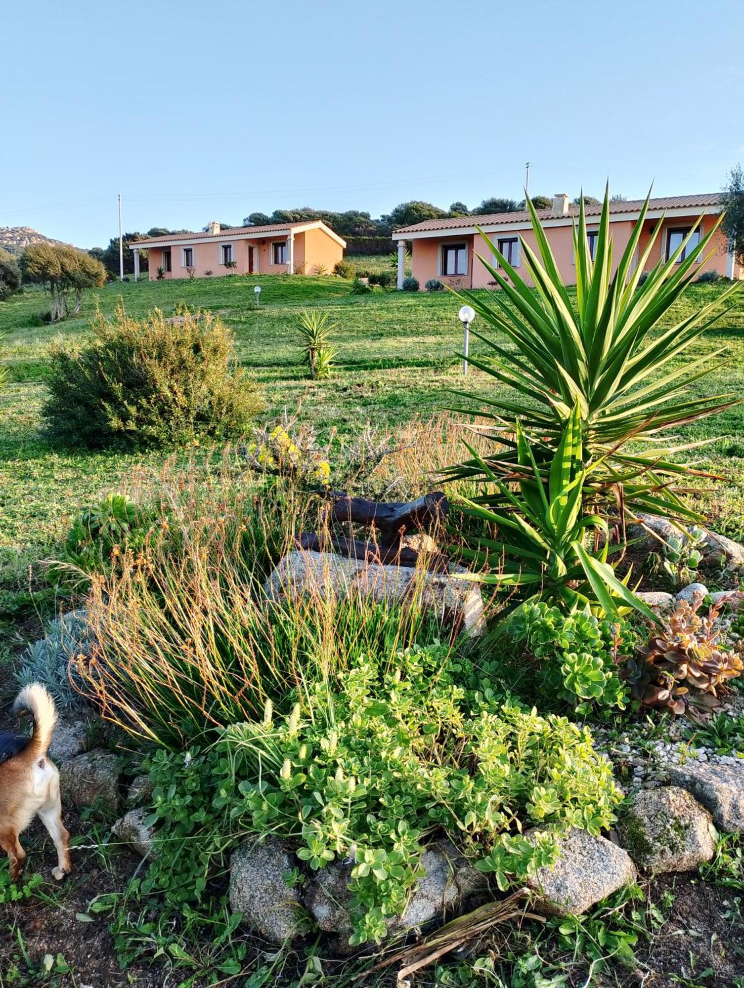 Gli Olivastri Con Piscina,Solarium, Vista Mare ,Sole -Mare E Tanta Natura ,Climatizzatore,Wifi อาเญ็นตู ภายนอก รูปภาพ