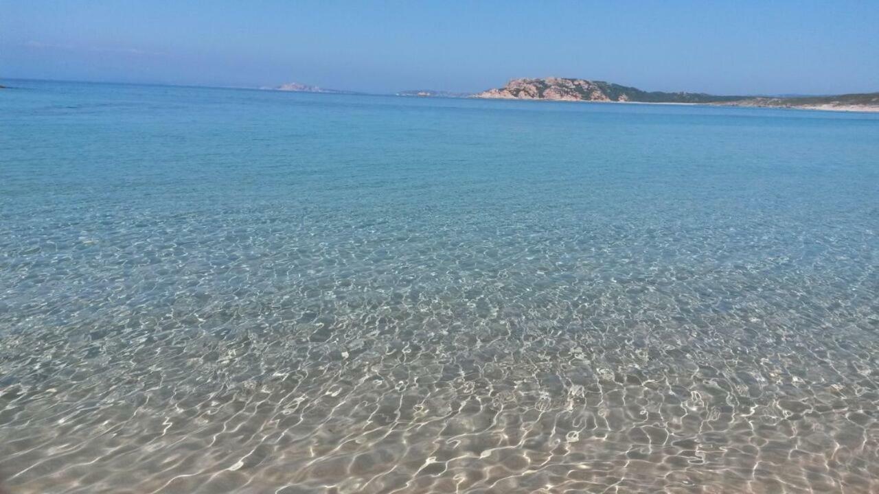 Gli Olivastri Con Piscina,Solarium, Vista Mare ,Sole -Mare E Tanta Natura ,Climatizzatore,Wifi อาเญ็นตู ภายนอก รูปภาพ