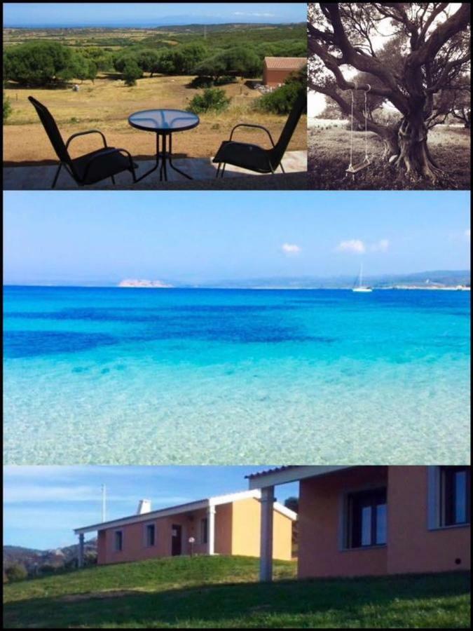 Gli Olivastri Con Piscina,Solarium, Vista Mare ,Sole -Mare E Tanta Natura ,Climatizzatore,Wifi อาเญ็นตู ภายนอก รูปภาพ
