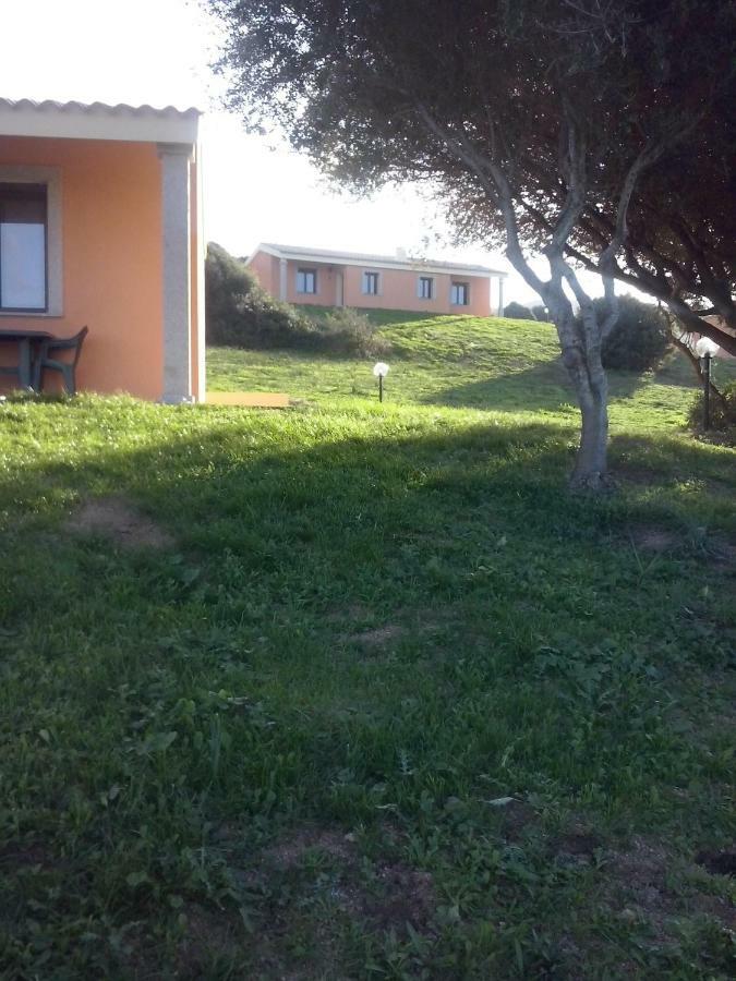 Gli Olivastri Con Piscina,Solarium, Vista Mare ,Sole -Mare E Tanta Natura ,Climatizzatore,Wifi อาเญ็นตู ภายนอก รูปภาพ